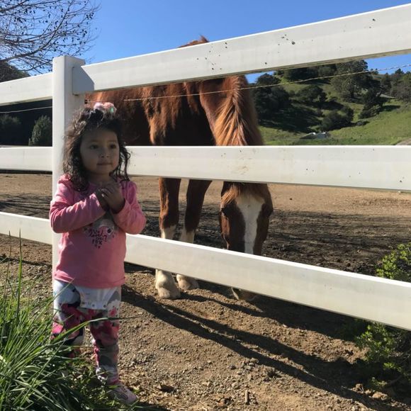 Meet your Posher, Alexander - Picture 1 of 1